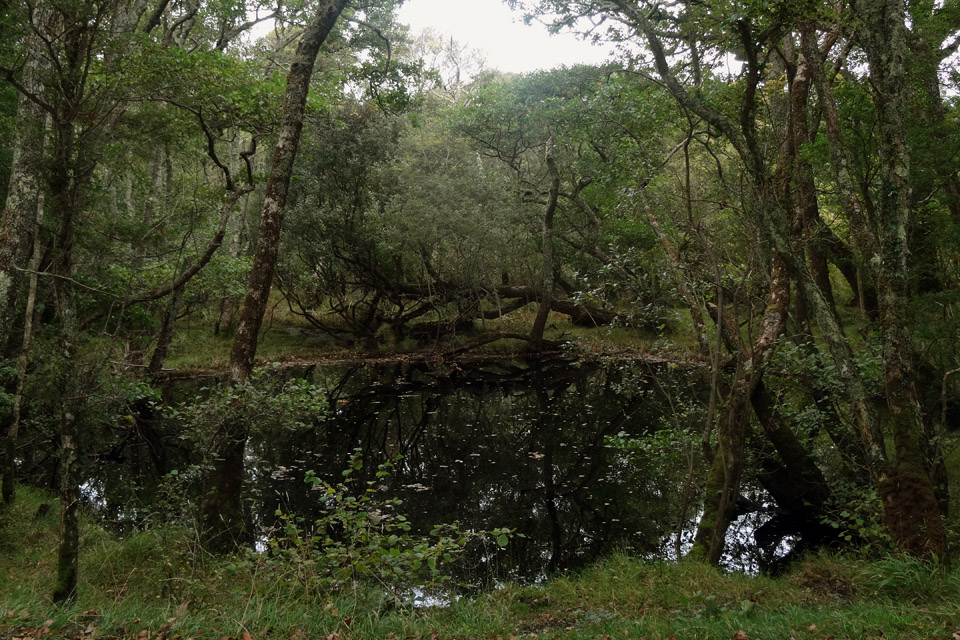  Killarney National Park